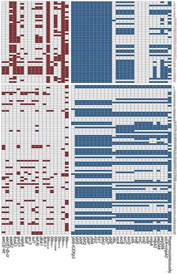 Clinical Outcomes and Microbiological Characteristics of Sequence Type 11 Klebsiella pneumoniae Infection